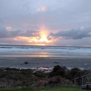 Meet your Posher, Ella